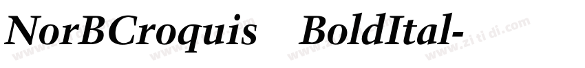 NorBCroquis BoldItal字体转换